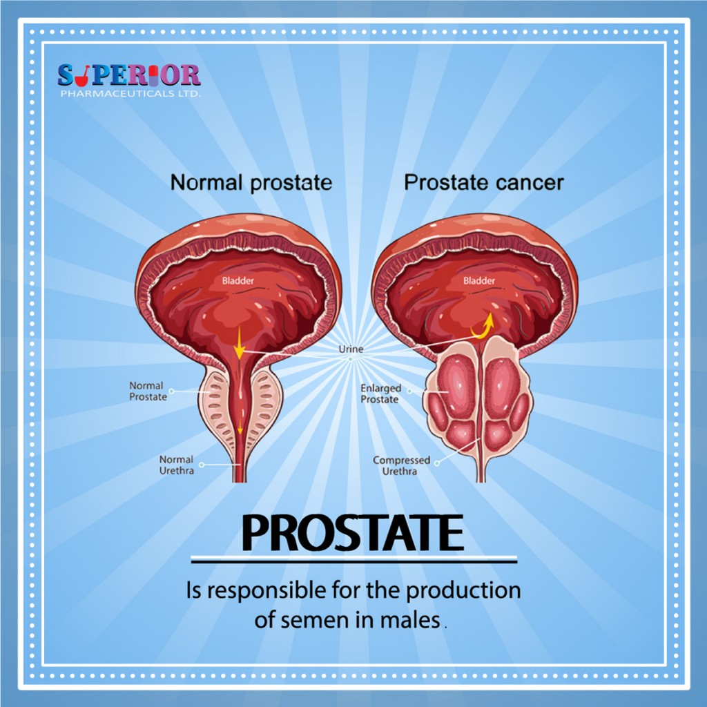 BPH-Prostate Enlargement – Superior Pharmacy Inc.